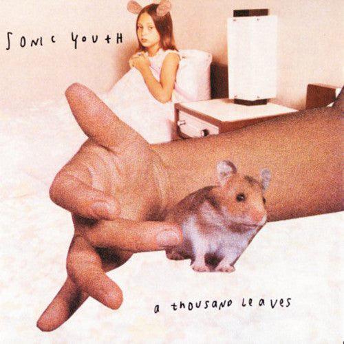 Sonic Youth- A Thousand Leaves ( LP )